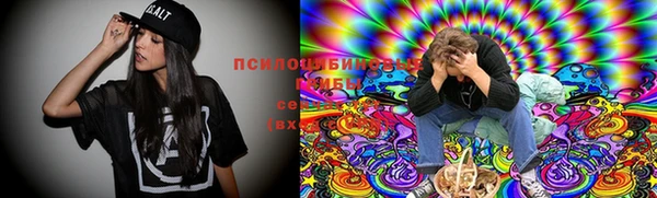 стафф Абаза