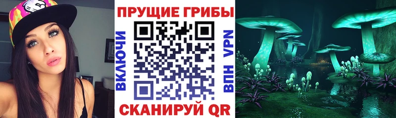 Галлюциногенные грибы мухоморы  Артём 